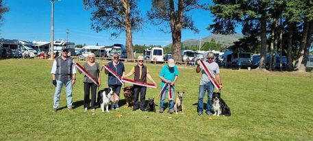 Recent Obedience Show